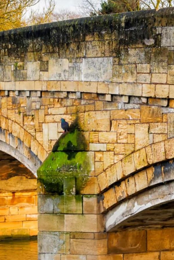 Image of bridge in Leicester